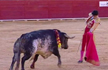 A Spanish Matador is fatally gored Some Mourn; Others say he had it coming